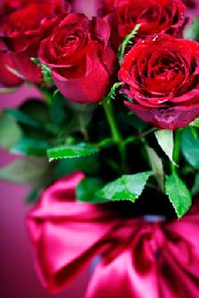 Red Rose Bouquet