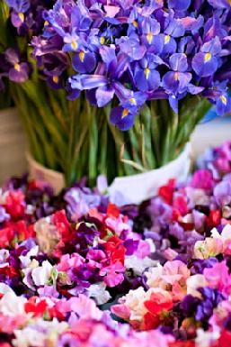 bulk flowers for sale