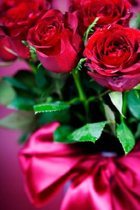 red rose bouquet for woman