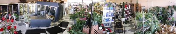Blaine Flower Shop